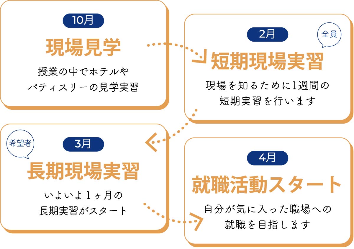 実習&就職プログラムの流れ