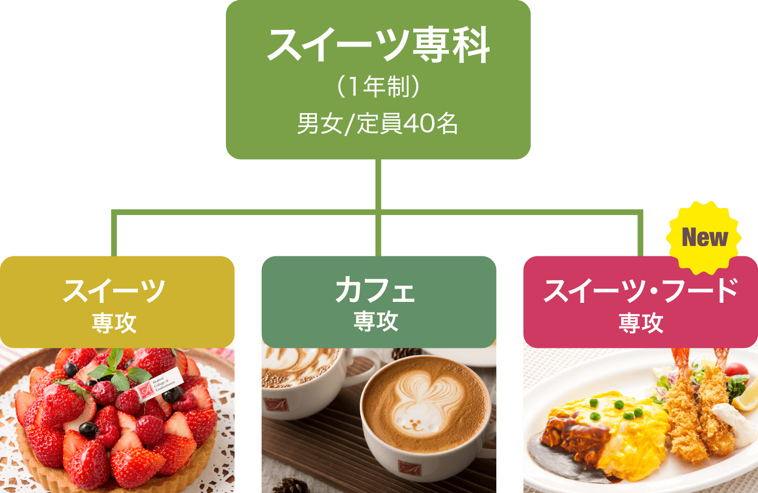 3つの専攻