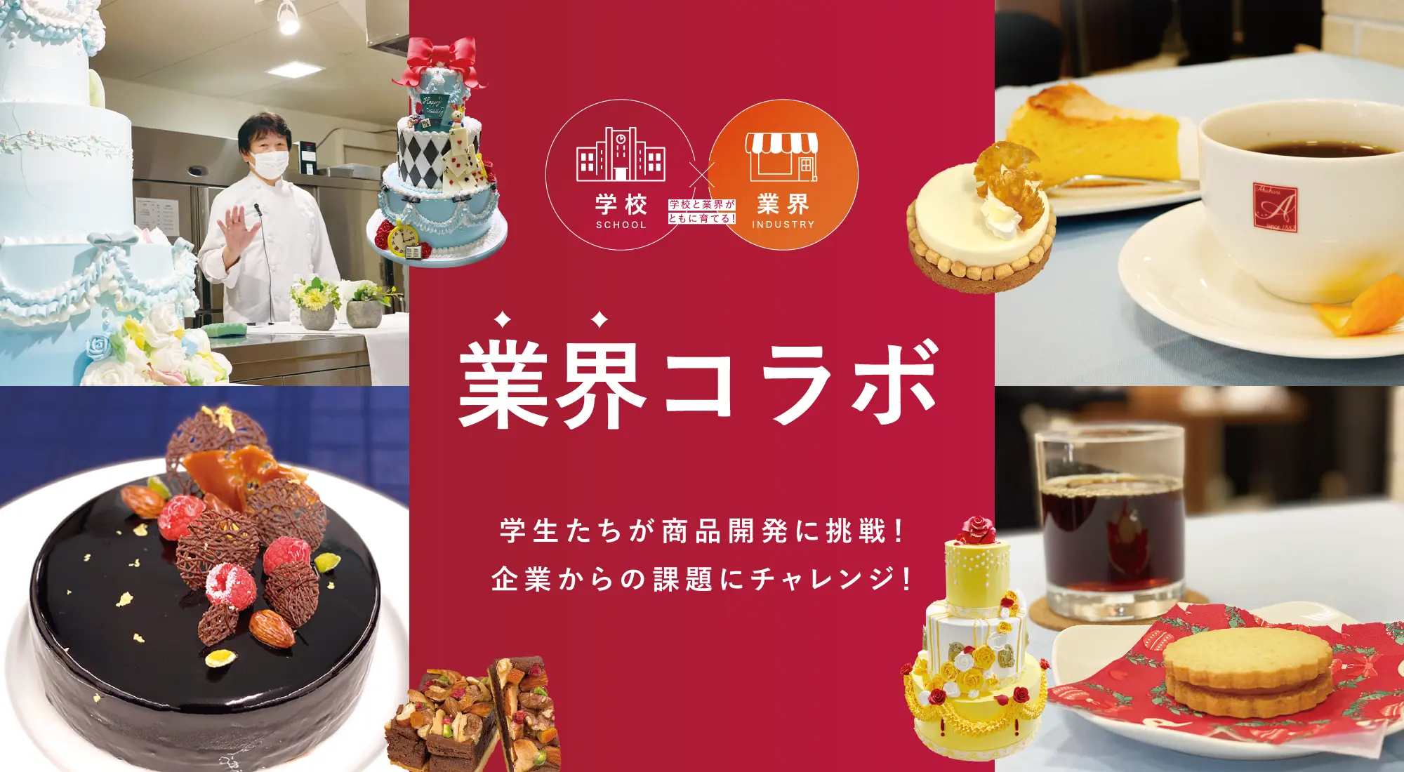 業界コラボ