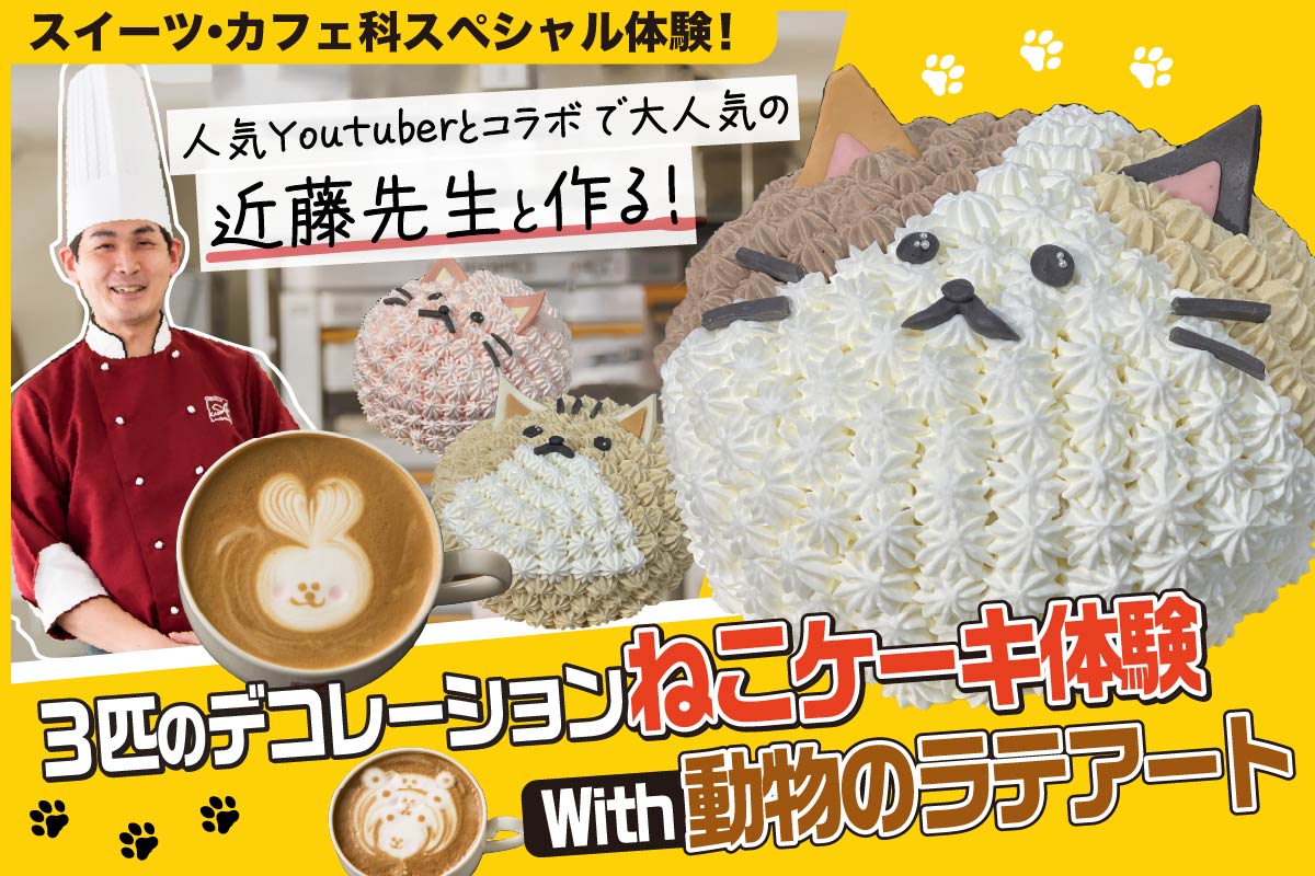 ３匹のデコレーションねこケーキ体験☆